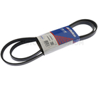 12658091 - : V-Ribbed Serpentine Belt for Chevrolet: Malibu Image
