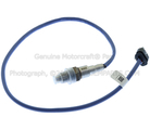 DY1623 - Emission System: Motorcraftâ„¢ Oxygen Sensor for Ford: E-350 Super Duty, E-450 Super Duty, Focus Image
