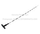 XL2Z6750BA - Engine: Engine Oil Dipstick for Ford Image