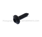 W502661S303 - Body: Cluster Bezel Screw for Ford Image