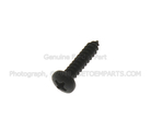 55928S58 - Body: Retainer Screw for Ford Image
