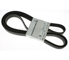11720JA00B - : Serpentine Belt for Nissan: Altima Image