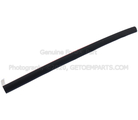 DT1Z9929796E - Body: Window Molding for Ford Image