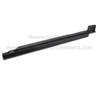 DT1Z1710176BA - Body: Rocker Panel Guard for Ford Image