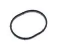 Manifold Gasket - Ford (5L2Z-9461-AA)