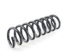 2103212904 - : Leaf Spring, Front Axle for Mercedes-Benz Image