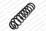 2113211504 - : Front Axle Spring for Mercedes-Benz: E320, E500, E55 AMG Image