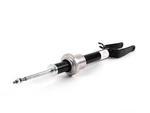2113237900 - : Shock Absorber for Mercedes-Benz: E320 Image