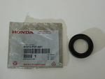 manecaページ 51KXPQtlh6S._UF350,350_QL80_.jpg