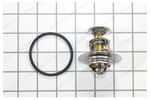 12632948 - Cooling System: Thermostat for GM Image
