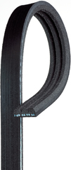 V-Ribbed Serpentine Belt - GM (12588412)