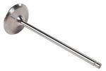 12668544 - Engine: Intake Valve for Chevrolet: Corvette Image