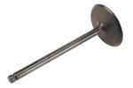 12627971 - Engine: Intake Valve for Buick: LaCrosse | Cadillac: Escalade | Chevrolet: Avalanche, Colorado, Express 1500, Express 2500, Express 3500, Silverado 1500, Suburban 1500, Tahoe | GMC: Canyon, Savana 1500, Savana 2500, Savana 3500, Sierra 1500, Yukon, Yukon XL 1500 | Hummer: H3, H3T Image