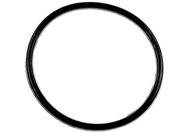 14088123 - Air &amp; Fuel Delivery: Fuel Pump Tank Seal for Buick: Roadmaster | Cadillac: Fleetwood | Chevrolet: Beretta, C1500, C2500, C3500, Caprice, Corsica, Impala, K1500 Pickup, K2500 Pickup, K3500 Pickup, Lumina APV, Suburban C1500, Suburban C2500, Suburban K1500, Suburban K2500, Tahoe | GMC: C1500 Pickup, C2500 Pickup, C3500 Pickup, K1500 Pickup, K2500 Pickup, K3500 Pickup, Suburban C1500, Suburban C2500, Suburban K1500, Suburban K2500, Yukon | Oldsmobile: Custom Cruiser, Silhouette | Pontiac: Trans Sport Image