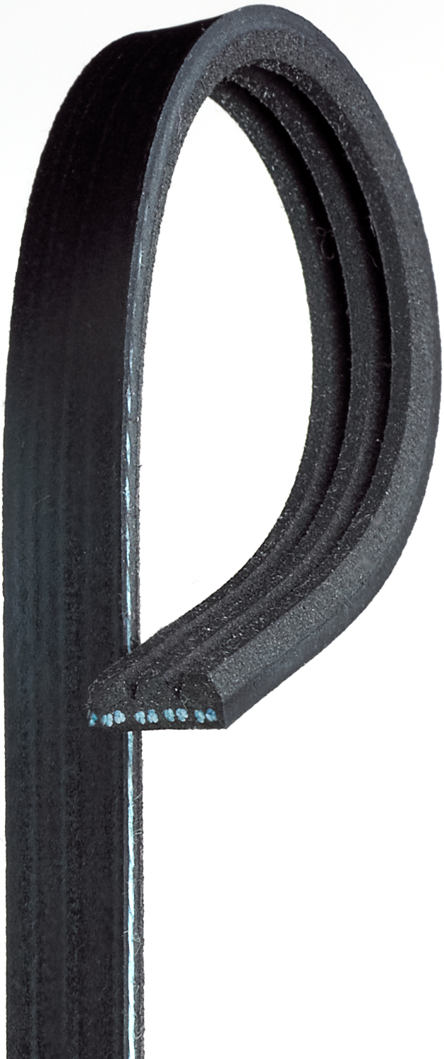 12588412 - Cooling System: Water Pump Belt for Buick: Lucerne | Cadillac: DeVille, DTS, Eldorado, Seville | Oldsmobile: Aurora | Pontiac: Bonneville Image