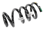 84594901 - Suspension: Coil Spring for GM Image