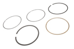 12524205 - : Engine Piston Ring Kit for GM Image