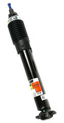 Strut Kit,Frt Susp - GM (19302775)
