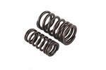 12668540 - Engine: Valve Springs for Chevrolet: Corvette Image