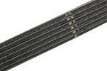 12576455 - Cooling System: Serpentine Belt for Chevrolet: Express 1500, Express 2500, Silverado 1500, Silverado 1500 Classic | GMC: Savana 1500, Savana 2500, Sierra 1500, Sierra 1500 Classic Image