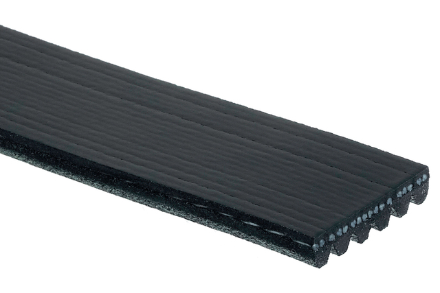 19355283 - Cooling System: Drive Belt for Buick: Regal | Oldsmobile: Intrigue | Pontiac: Grand Prix Image