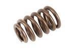19257200 - Engine: Valve Springs for Buick: LaCrosse, LeSabre, Lucerne, Park Avenue, Regal, Riviera | Chevrolet: Camaro, Impala, Lumina, Monte Carlo | Oldsmobile: 98, Intrigue | Pontiac: Bonneville, Firebird, Grand Prix Image