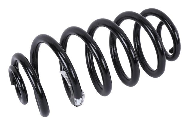 22910897 - Suspension: Coil Spring for Buick: Regal Image