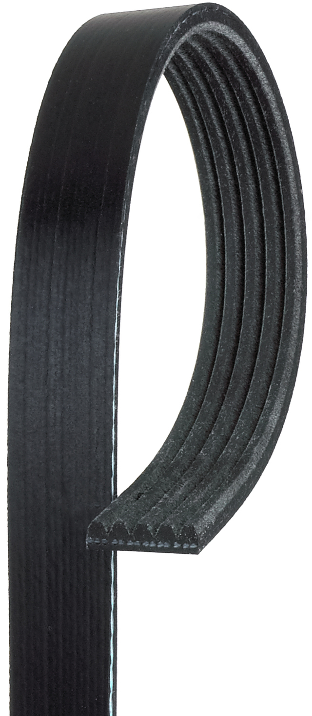 12639468 - Cooling System: Serpentine Belt for Chevrolet: Malibu | Pontiac: G6 | Saturn: Aura Image
