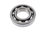 21003317 - Transmission: Automatic Transmission Differential Bearing for Saturn: SC1, SC2, SL, SL1, SL2, SW1, SW2 Image