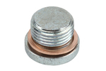 11099272 - : Multi-Purpose Threaded Plug for GM Image