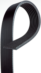 Belt-Gen & A/C Cmpr - GM (12634319)