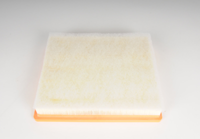 13319421 - Maintenance &amp; Lubrication: Air Filter for Buick: Regal Image