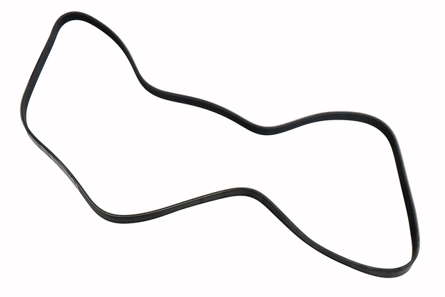 12639035 - Cooling System: Serpentine Belt for Chevrolet: Camaro, Caprice Image