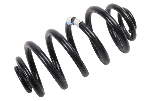22779574 - Suspension: Coil Spring for Buick: Regal Image