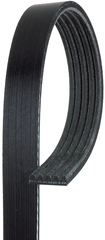 V-Ribbed Serpentine Belt - GM (12634320)