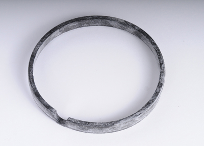 12580838 - Transfer Case: Transfer Case Input Shaft Seal for Buick: Rendezvous | Pontiac: Aztek Image