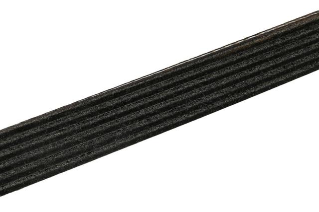 19244956 - Maintenance &amp; Lubrication: Serpentine Belt for Buick: Commercial Chassis, Roadmaster | Cadillac: Fleetwood | Chevrolet: Camaro, Caprice, Impala | Pontiac: Firebird Image