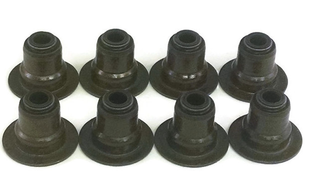 12482063 - Engine: Valve Seals for Buick: LaCrosse, Lucerne, Rainier, Terraza | Cadillac: CTS, Escalade, Escalade ESV, Escalade EXT | Chevrolet: Avalanche, Avalanche 1500, Camaro, Caprice, Colorado, Corvette, Express 1500, Express 2500, Express 3500, Express 4500, Impala, LCF 3500, Malibu, Monte Carlo, Silverado 1500, Silverado 1500 Classic, Silverado 1500 HD, Silverado 1500 HD Classic, Silverado 2500, Silverado 2500 HD, Silverado 2500 HD Classic, Silverado 3500, Silverado 3500 Classic, Silverado 3500 HD, SS, SSR, Suburban 1500, Suburban 2500, Suburban 3500 HD, Tahoe, Trailblazer, Trailblazer EXT, Uplander | GMC: Canyon, Envoy, Envoy XL, Envoy XUV, Savana 1500, Savana 2500, Savana 3500, Savana 4500, Sierra 1500, Sierra 1500 Classic, Sierra 1500 HD, Sierra 1500 HD Classic, Sierra 2500, Sierra 2500 HD, Sierra 2500 HD Classic, Sierra 3500, Sierra 3500 Classic, Sierra 3500 HD, Yukon, Yukon XL 1500, Yukon XL 2500 | Hummer: H2, H3, H3T | Pontiac: Firebird, G6, G8, Grand Prix, GTO, Montana | Saturn: Aura, Relay, Vue Image
