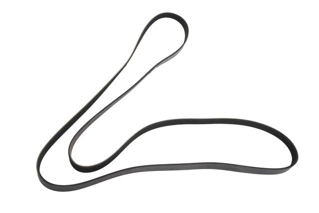 10189266 - Cooling System: Belt for GM Image