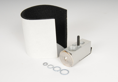 10436282 - HVAC: Expansion Valve for Chevrolet: Venture | Oldsmobile: Silhouette | Pontiac: Montana, Trans Sport Image
