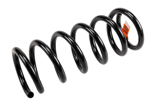 21990358 - Suspension: Coil Spring for GM Image