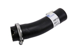 25887138 - : Hose Asm-F/Tnk Fil for Chevrolet: Cobalt | Pontiac: G5 Image