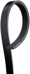 V-Ribbed Serpentine Belt - GM (12576446)