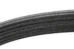 12617797 - Cooling System: Fan Belt for GM Image