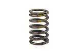 90537032 - Engine: Valve Springs for Buick: LaCrosse, Regal, Verano | Chevrolet: Captiva Sport, Cavalier, Classic, Cobalt, Equinox, HHR, Impala, Malibu | GMC: Terrain | Oldsmobile: Alero | Pontiac: G5, G6, Grand Am, Solstice, Sunfire | Saturn: Aura, Ion, L100, L200, L300, LS, LS1, LW1, LW200, Sky, Vue Image