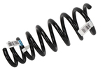 25807543 - Suspension: Coil Spring for GM Image