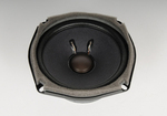 GM Genuine Parts 25994310 Radio Speaker Amplifier - Want It All