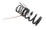 85583614 - Suspension: Coil Spring for Chevrolet: Corvette Image
