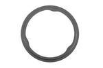 55570704 - Exhaust: Catalytic Converter Seal for Buick: Encore | Chevrolet: Cruze, Cruze Limited, Sonic, Trax Image