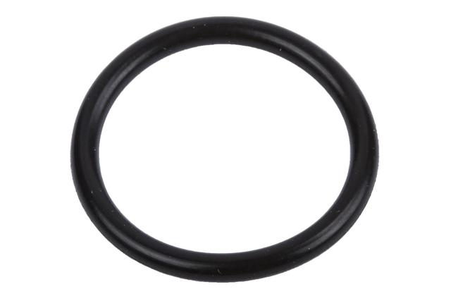 55570238 - : Water Pump Inlet Pipe Seal for Buick: Cascada Image